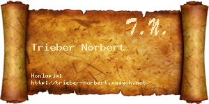 Trieber Norbert névjegykártya